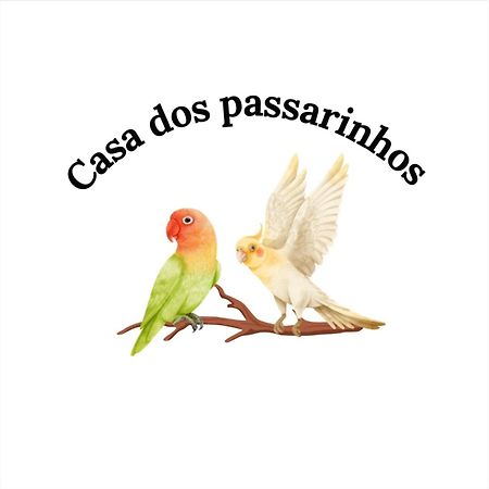 Casa Dos Passarinho'S , Lagos Ngoại thất bức ảnh