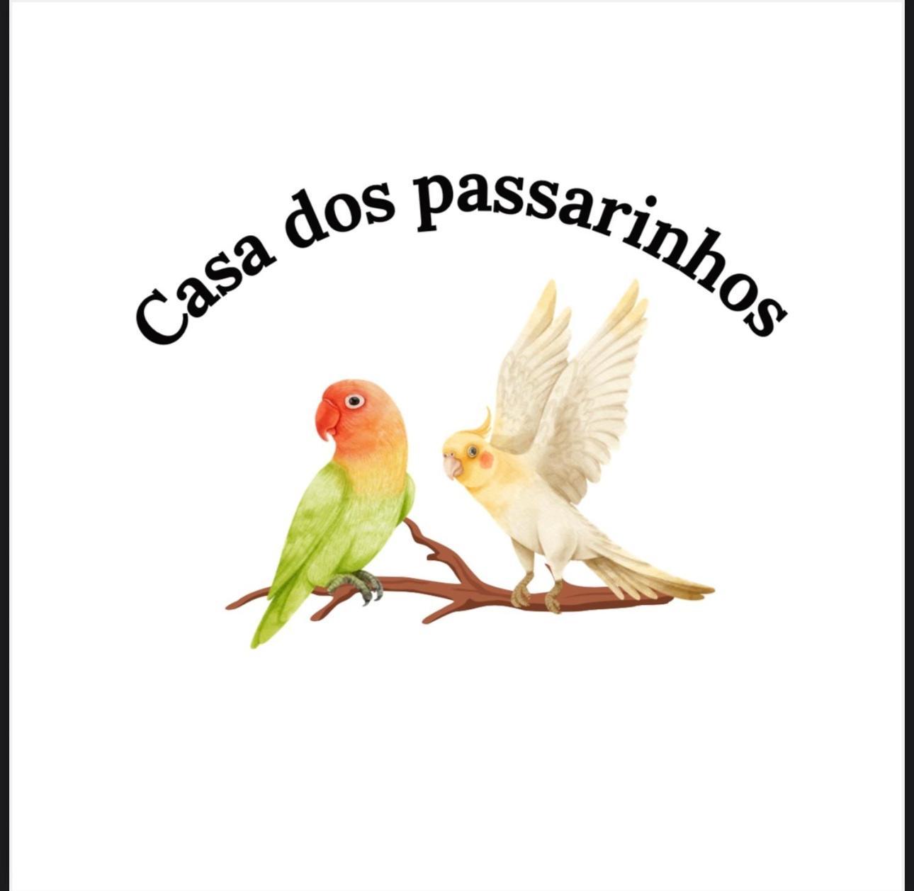 Casa Dos Passarinho'S , Lagos Ngoại thất bức ảnh